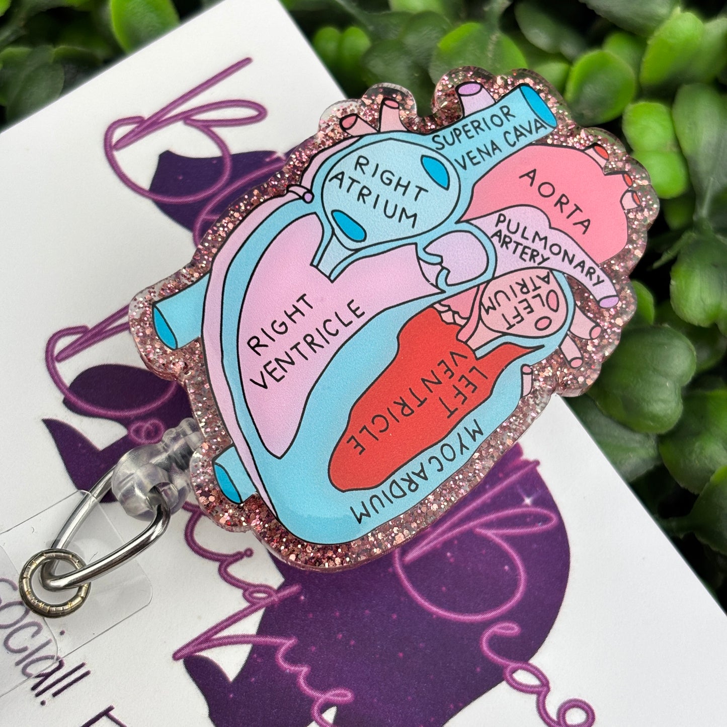 Labeled Anatomical Heart Badge Reel